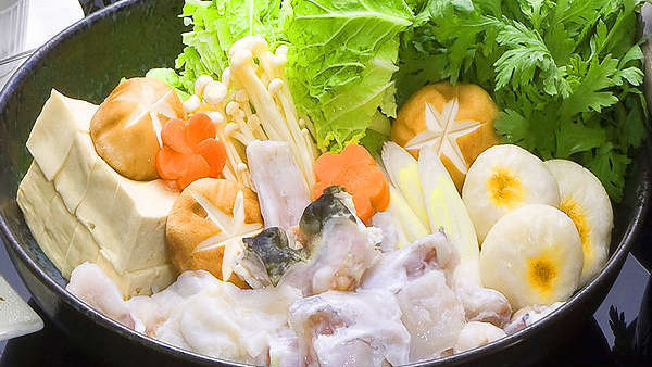 【冬季限定河豚会席】ぷりっとした食感のふぐ刺し（イメージ画像）