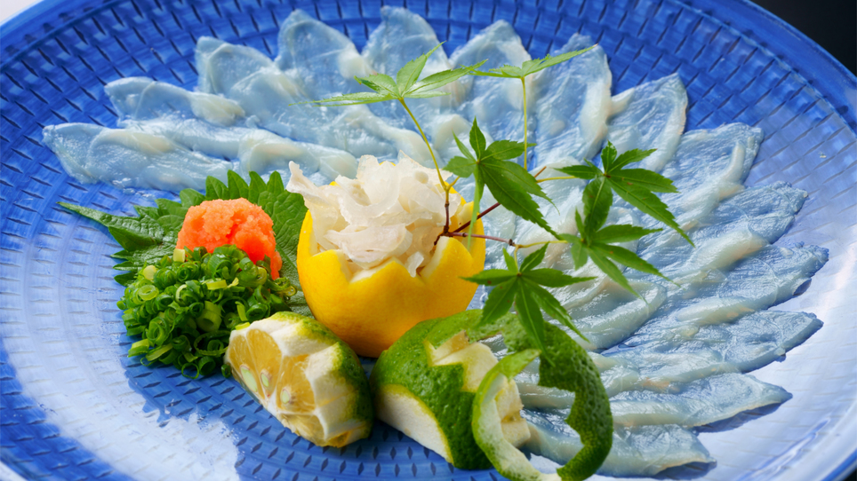 【河豚刺し】プリっとした食感と旨みたっぷり！