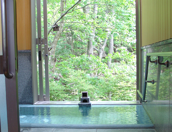 鹿教湯（かけゆ）温泉　むささびの訪れる宿　つるや旅館 写真3