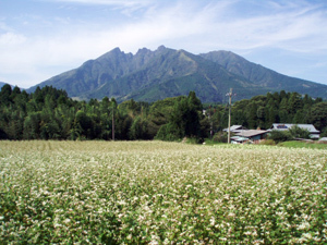 根子岳秋