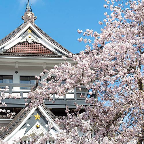 【春】横手の桜まつりは4月下旬頃〜。横手公園は天守閣と桜が見られるお花見名所！