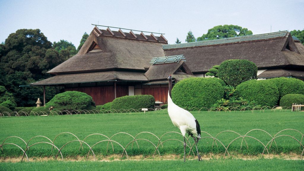 日本三大名園のひとつ岡山後楽園。岡山駅から直通バス(大人100円)片道10分。