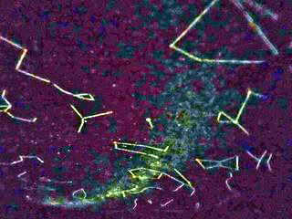 ホームプラネタリューム