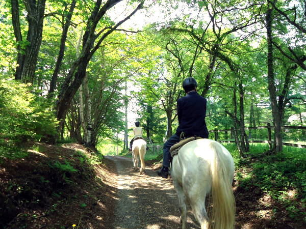 森林の中をお馬さんとトレッキング