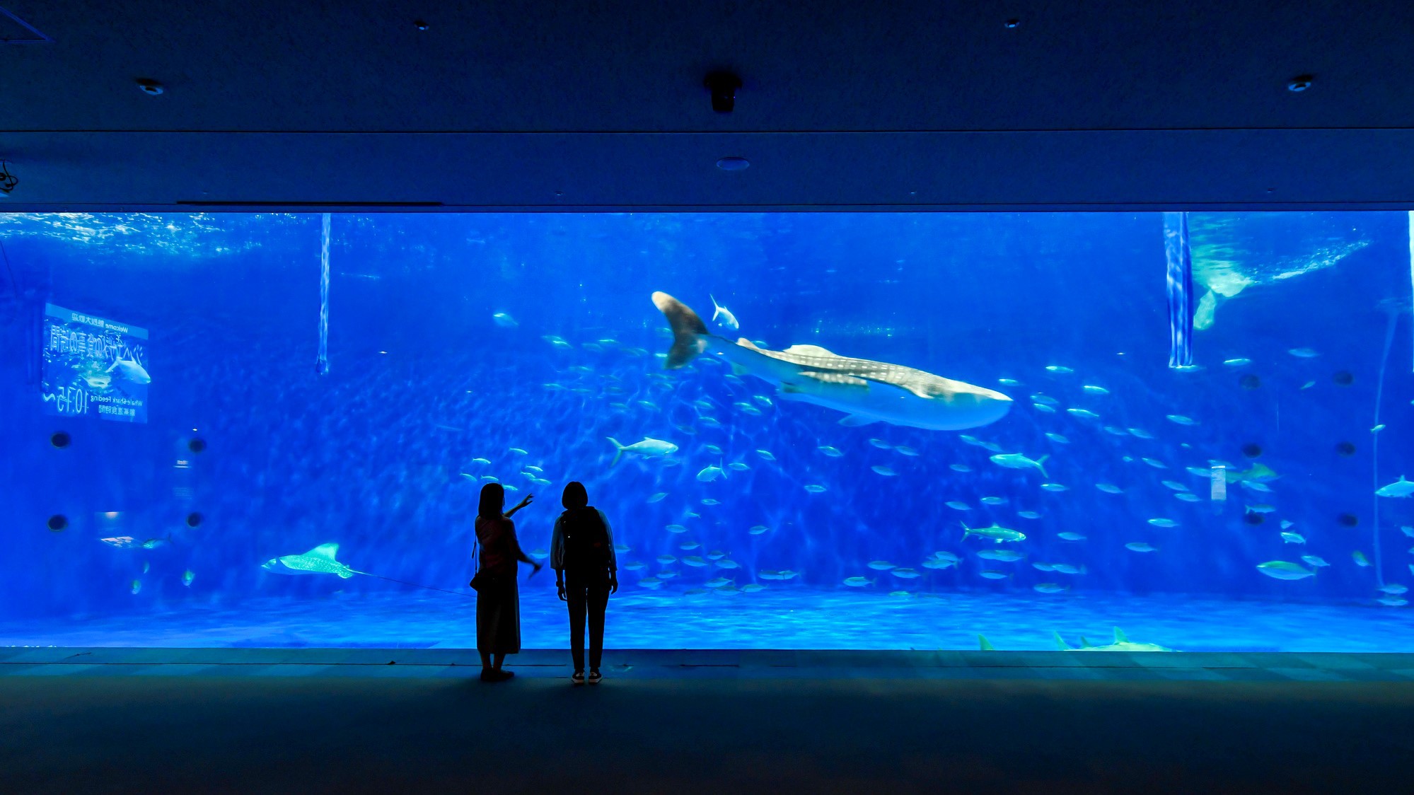 いおワールド かごしま水族館