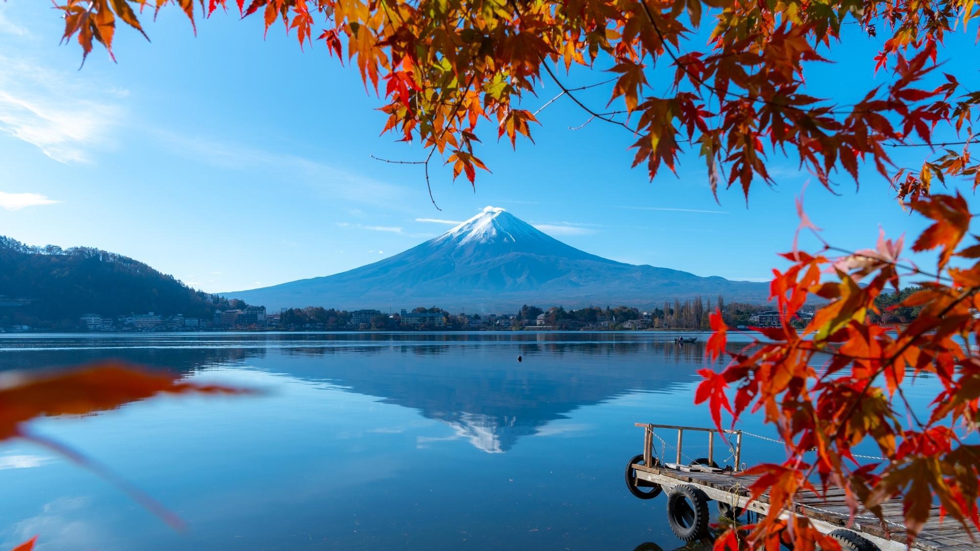 秋景色の河口湖。紅葉の向こうに冠雪の富士山が！