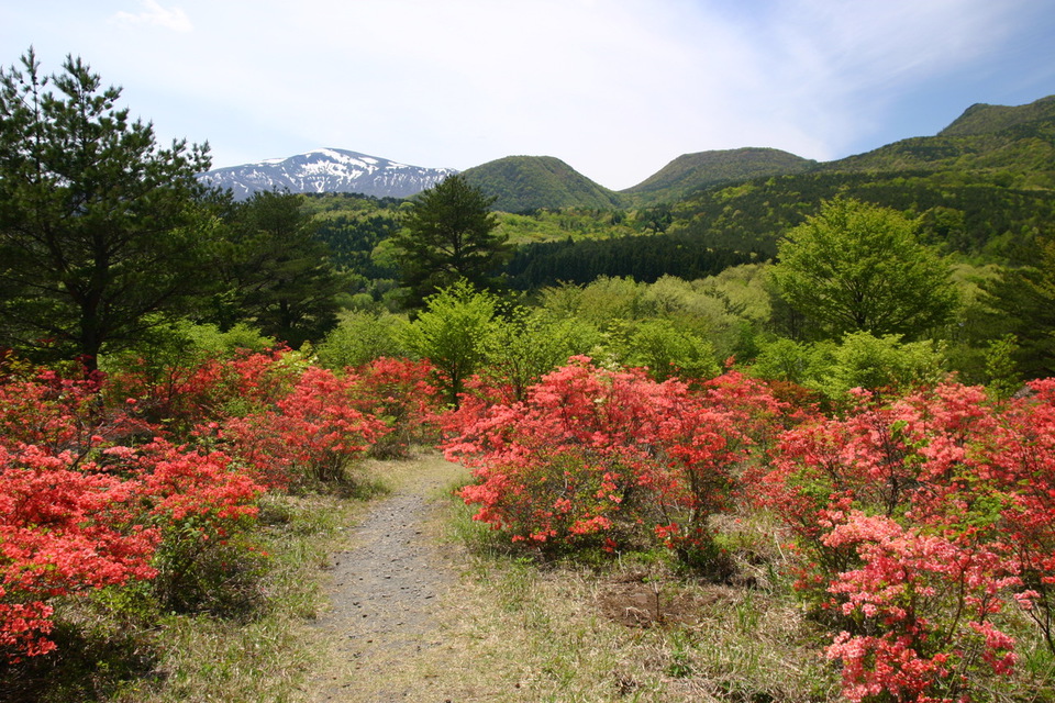 土湯温泉にある「つつじ山公園」