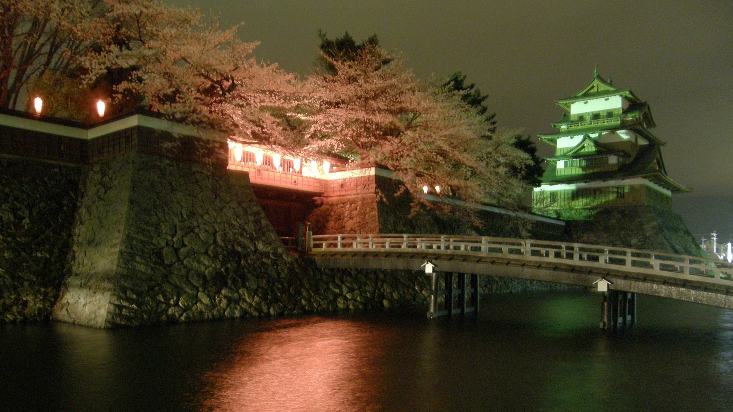 高島城夜桜のライトアップ