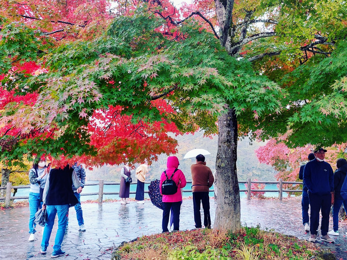 裏磐梯五色沼毘沙門沼の紅葉