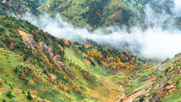 秋の志賀高原春夏秋はハイキングや登山におすすめです
