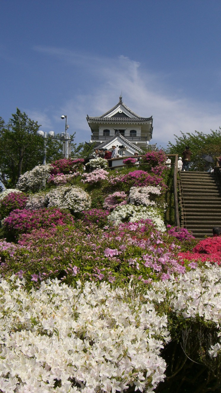 春の城山