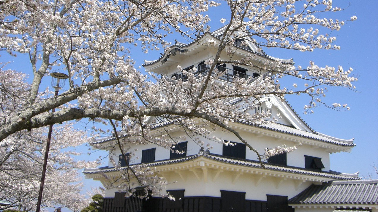 桜満開の館山城