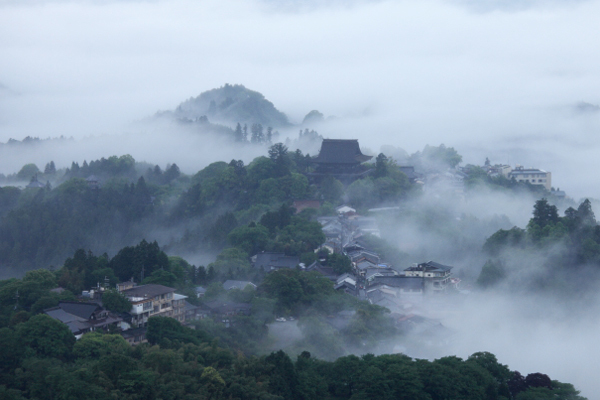 吉野山雲海