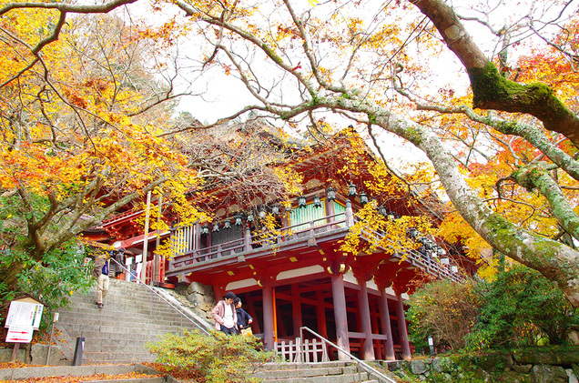 談山神社秋の紅葉