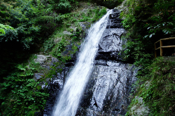 吉野山青根が峰