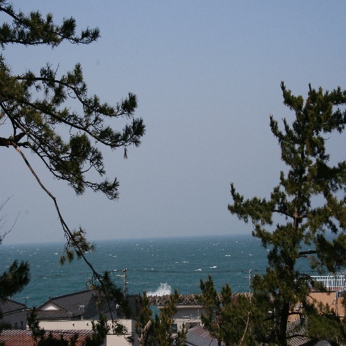 高台から眺める日本海