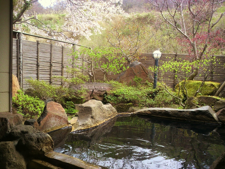 【桜の貸切露天風呂】『楓の湯』では例年４月中旬から下旬に花見露天が楽しめます