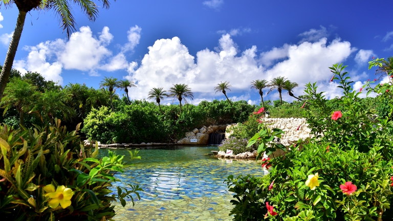 【シギラ黄金温泉（リゾート内）/ジャングルプール】水着で入るジャングルプールです