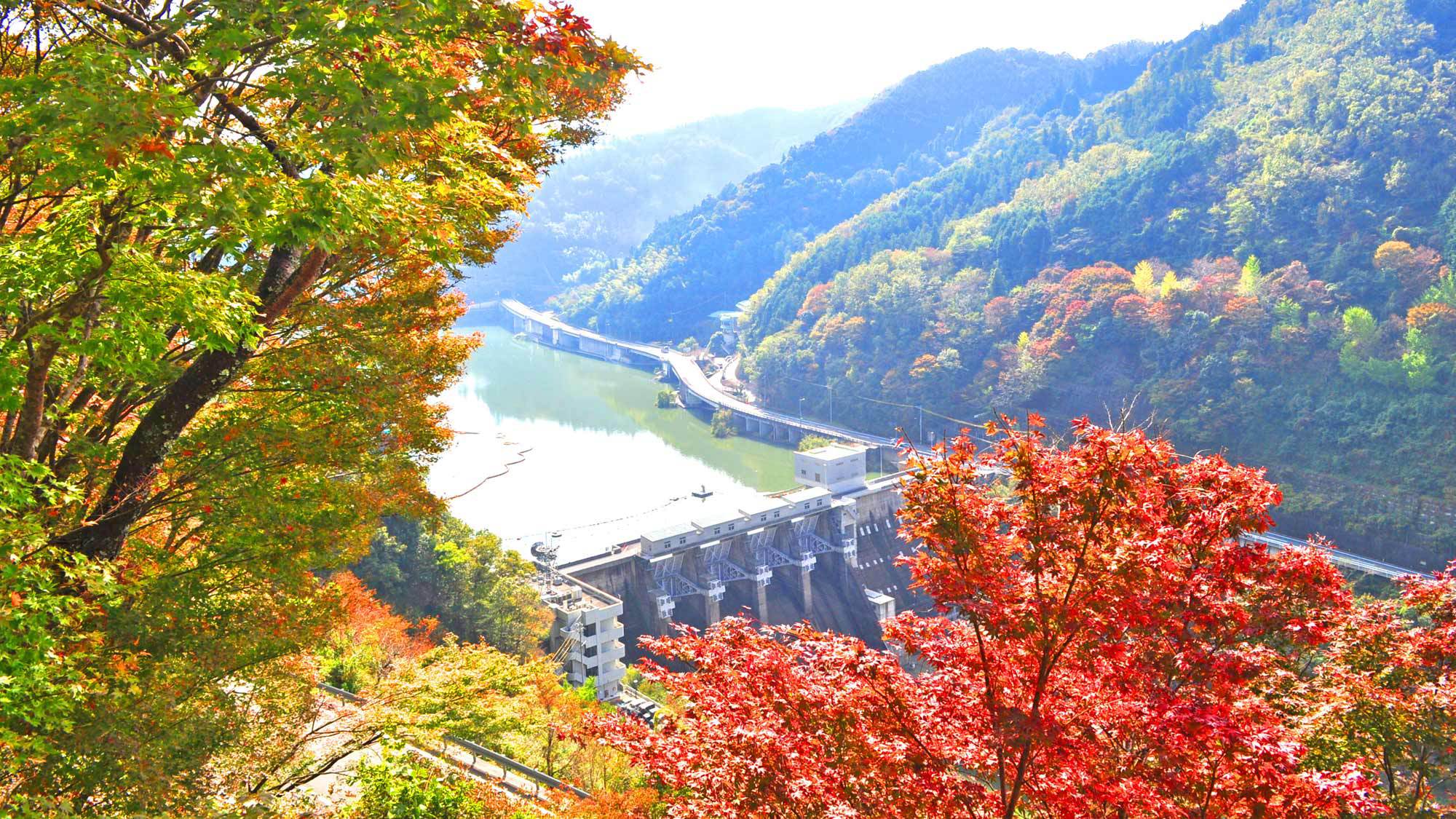 【周辺】鹿野川湖：春には3000本の桜、秋には色とりどりの紅葉が楽しめます。