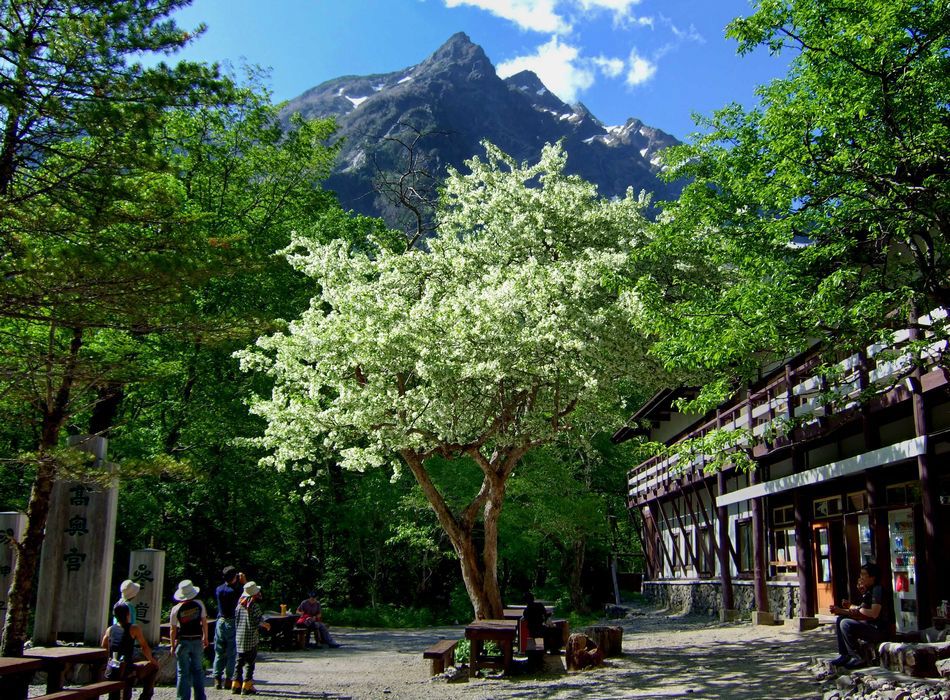 Kamikochi Myojinkan Kamikochi Myojinkan is conveniently located in the popular Kamikochi area. Featuring a satisfying list of amenities, guests will find their stay at the property a comfortable one. Facilities like shut