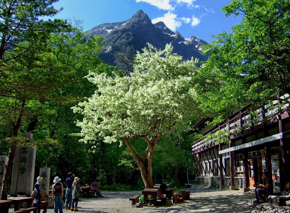 kamikochi myojinkan