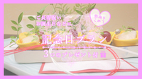 yyVgxT}[SALEzӂ߂ēʂȓɁyLOvzjEʂȋLO