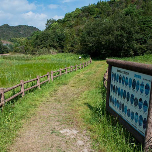 湿地草(休暇村入り口)