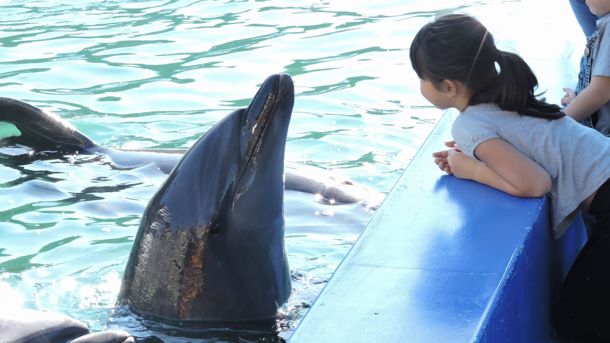 下田海中水族館