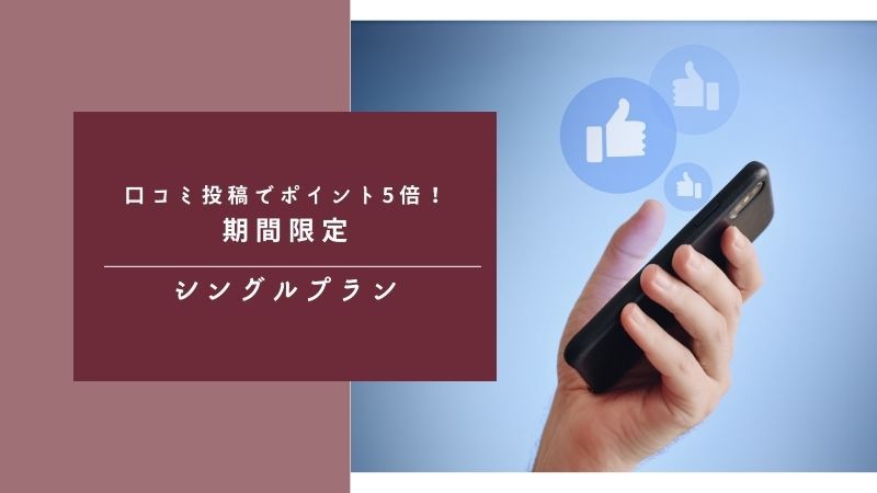 口コミ投稿プランシングル