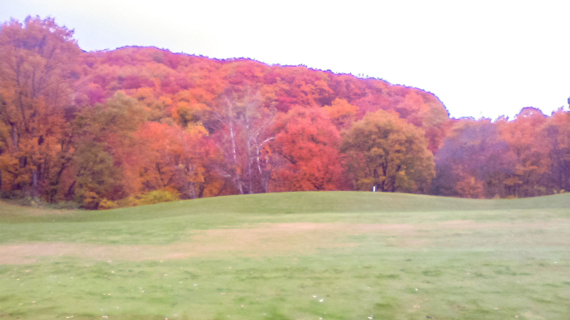 ・紅葉が美しい時期にゴルフとご宿泊はいかがですか？