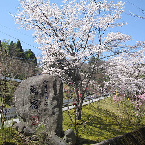 春の風景