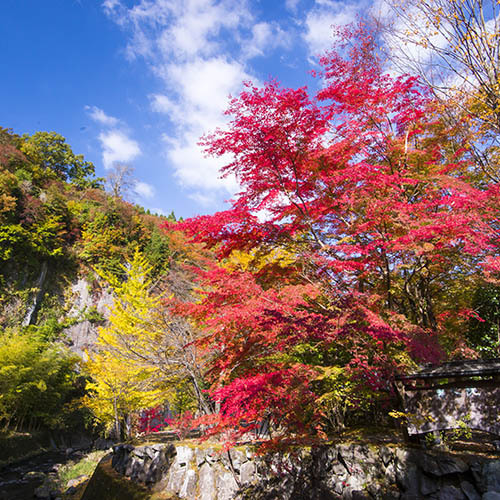 秋の風景