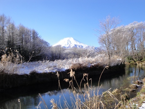 宿近くの桂川と富士山