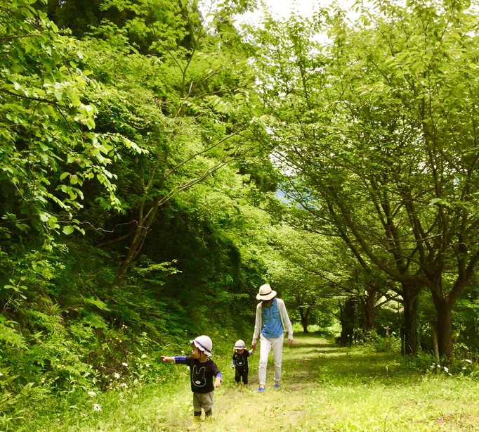 ペンション横の散歩道