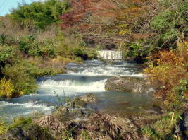 秋紅葉と溶岩流