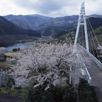 松川湖吊り橋