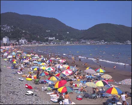 夏の伊東海岸海水浴風景
