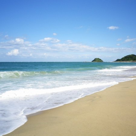 約800mに渡る砂浜