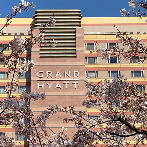 ホテル外観桜のシーズン