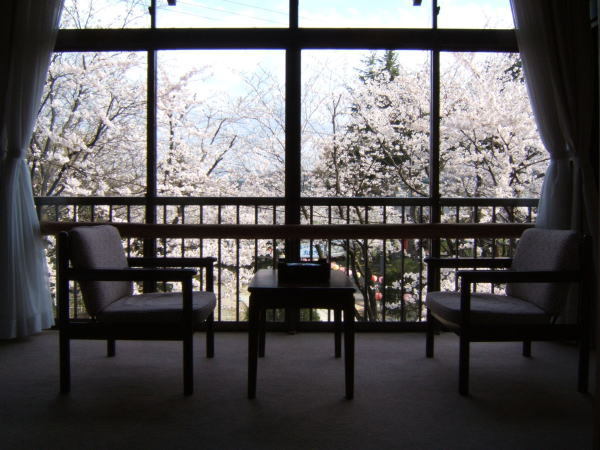 桜の見える客室もあります♪