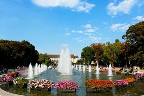 上野公園 噴水広場