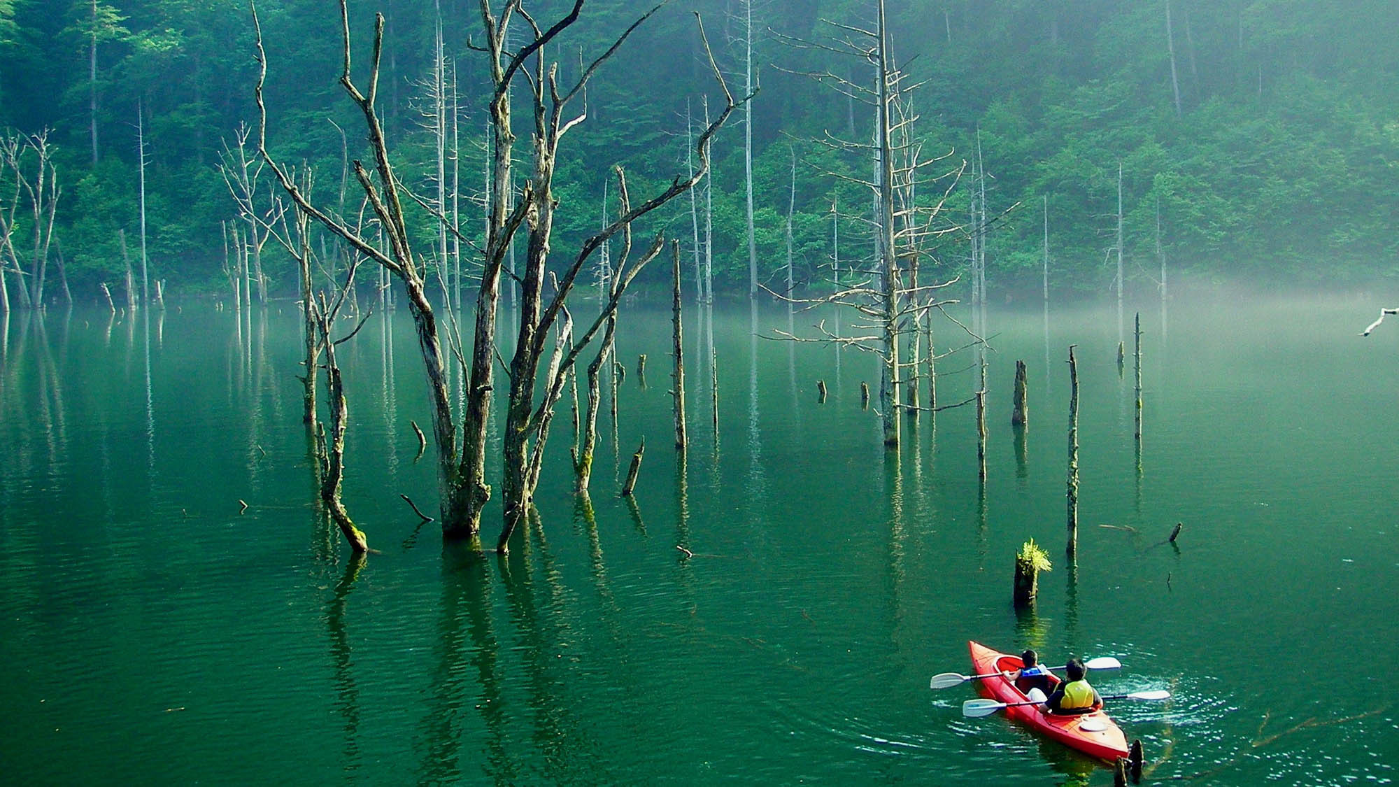 自然湖ネイチャーカヌーツアー深い森に囲まれ、ゆるやかな時間、水のゆらぎを感じる森林浴カヌーツアー