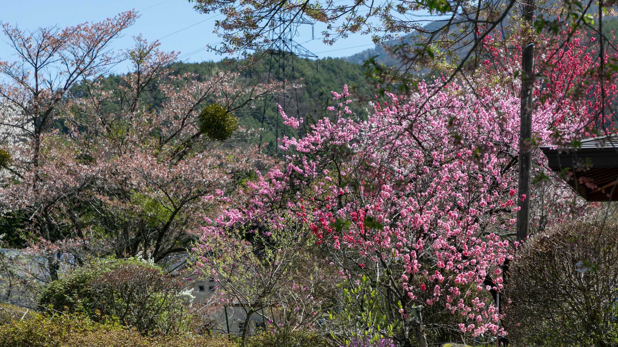 ホテル周辺・景観