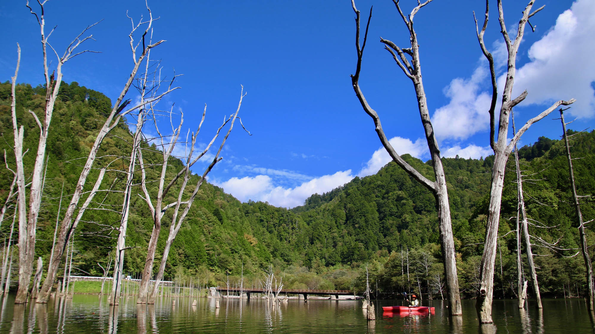自然湖ネイチャーカヌーツアー深い森に囲まれ、ゆるやかな時間、水のゆらぎを感じる森林浴カヌーツアー