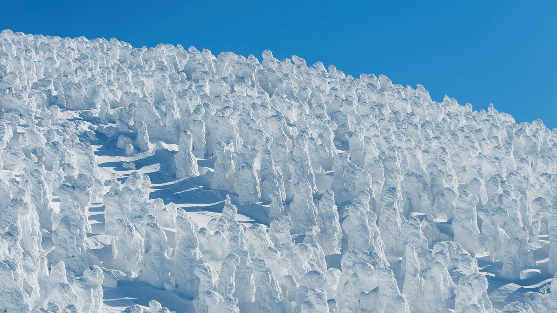 ［蔵王の樹氷］スノーモンスターとも呼ばれる幻想的な氷の造形。広大な樹氷原のライトアップもあります。