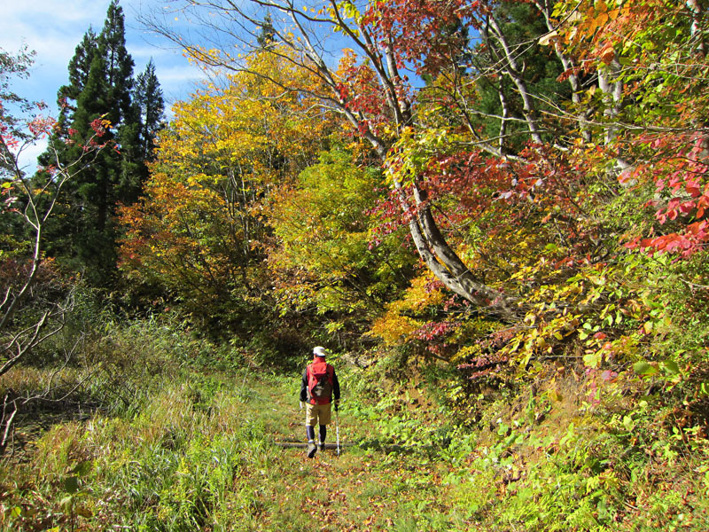 斑尾高原 紅葉の袴岳へ