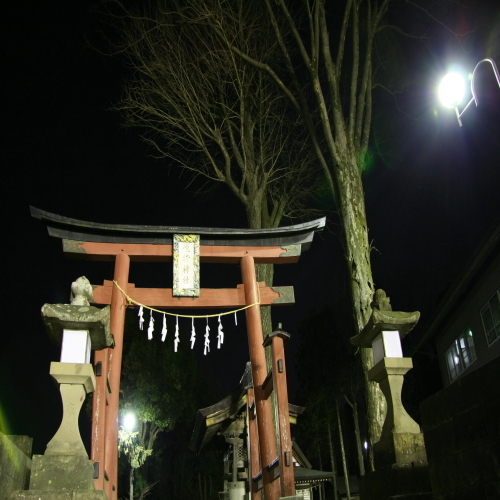 新木の守り神！恒持神社