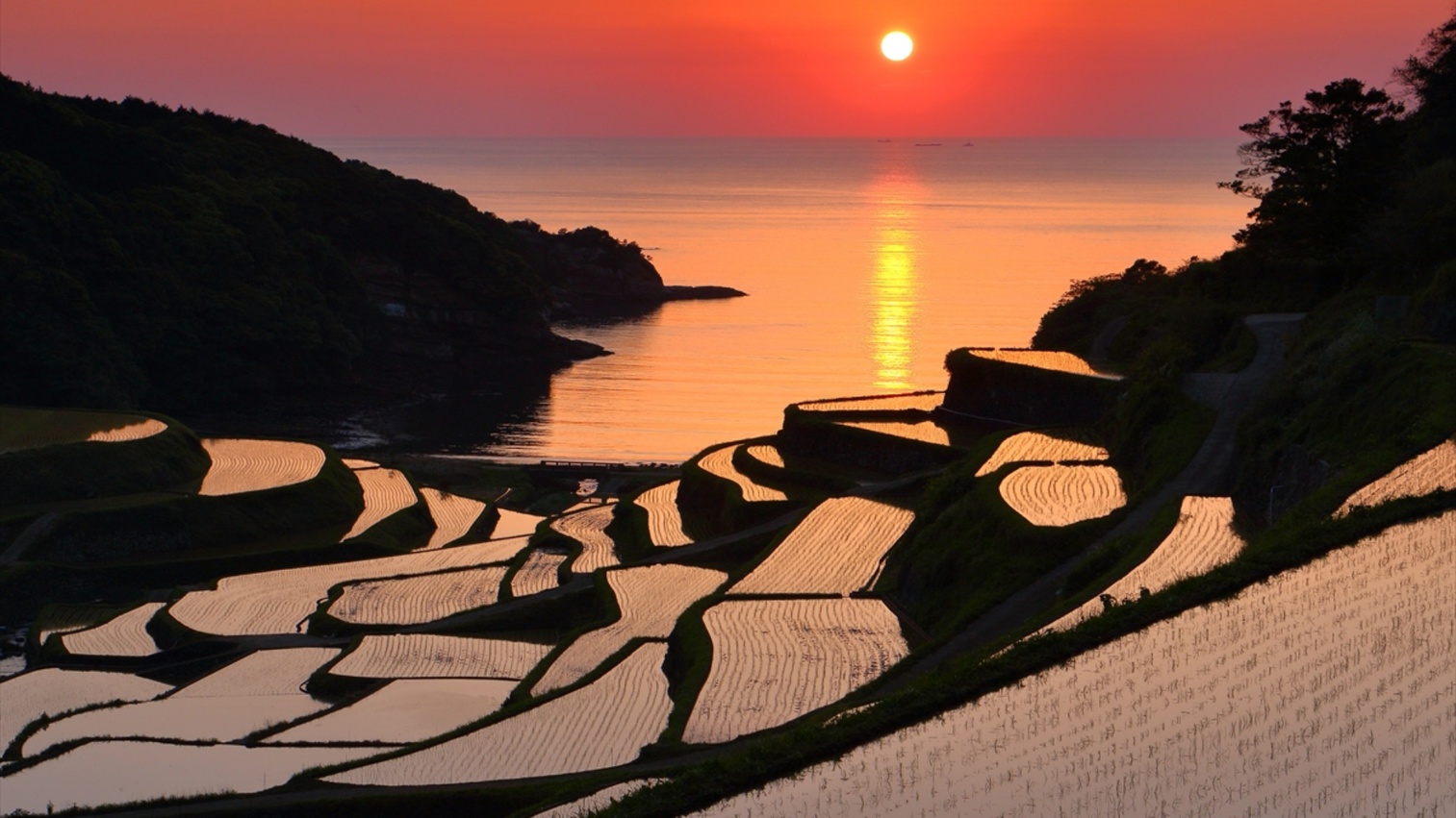 周辺観光／【浜野浦の棚田】4月中旬〜5月上旬、水平線に沈む夕日は見どころ…;当館から車で1時間20分