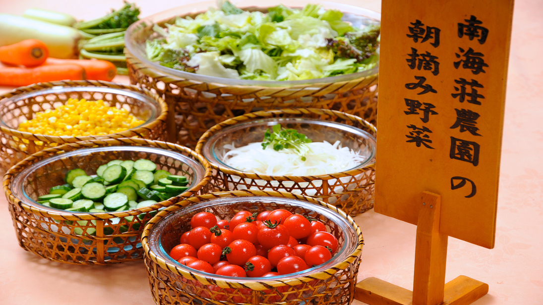 【朝食】直営農場の朝採れ野菜