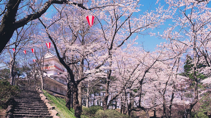 【千秋公園】見頃は毎年4月中旬〜下旬。日本さくら名所100選にも選定されている。